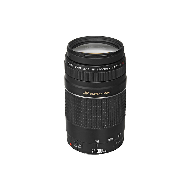 Objectif Canon EF 75-300mm f/4-5.6 III